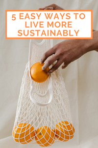 5 EASY Ways to Live More Sustainably